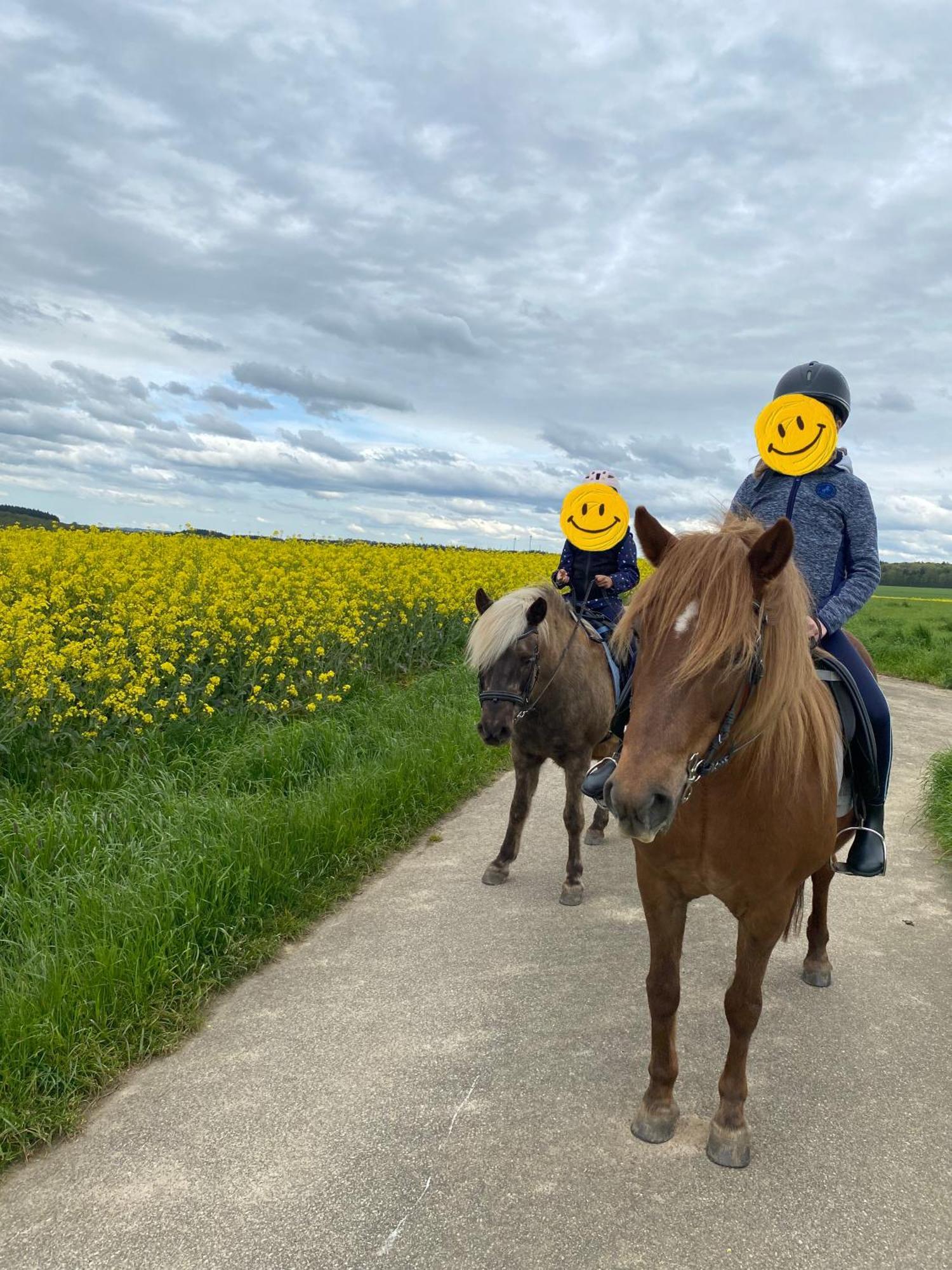 Landhof Lieg - Tierische Auszeit In Unseren Gemuetlichen Ferienwohnungen エクステリア 写真